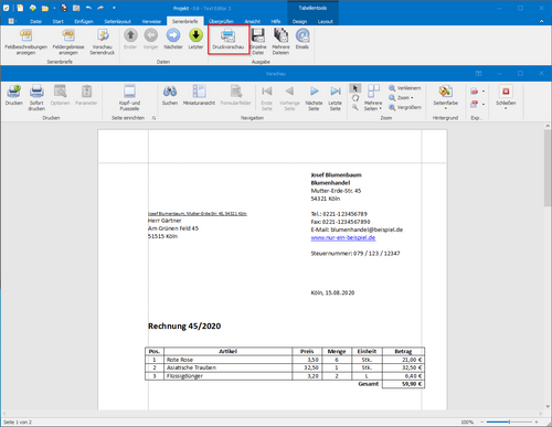 Druckvorschau einer Rechnung-Kleinunternehmer ohne MwSt. als Serienbrief aktivieren