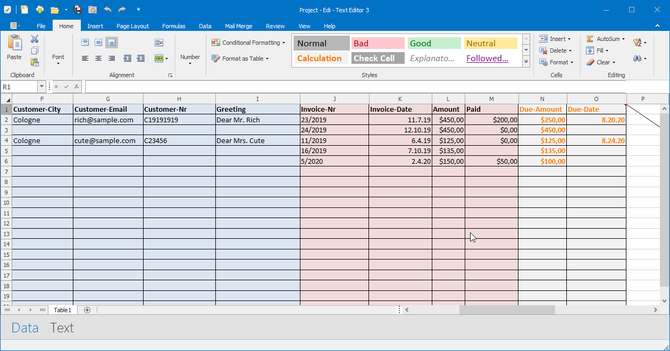 Data View of Edi-Texteditor