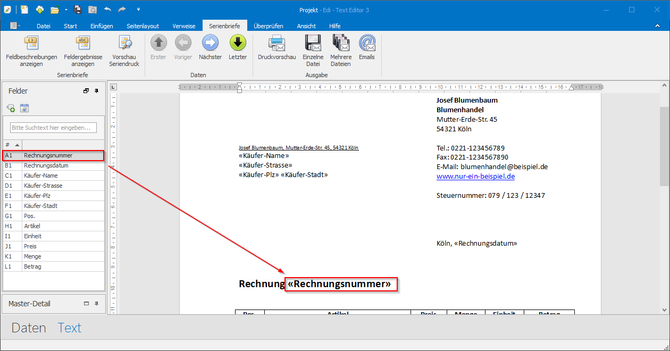 Text-Ansicht von Edi-Texteditor