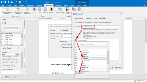 Ein Serienbrief-Feld dem Metadaten-Editor hinzufügen
