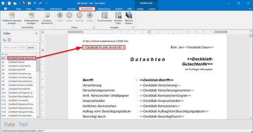 Serienbrief-Felder in einem Text-Dokument definieren